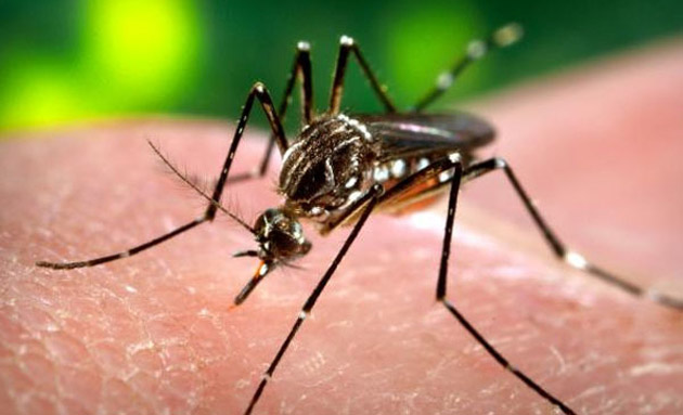 Homem morre com suspeita de dengue hemorrágica na Bahia