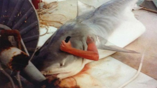 Foto de homem engolido por tubarão repercute na Web.