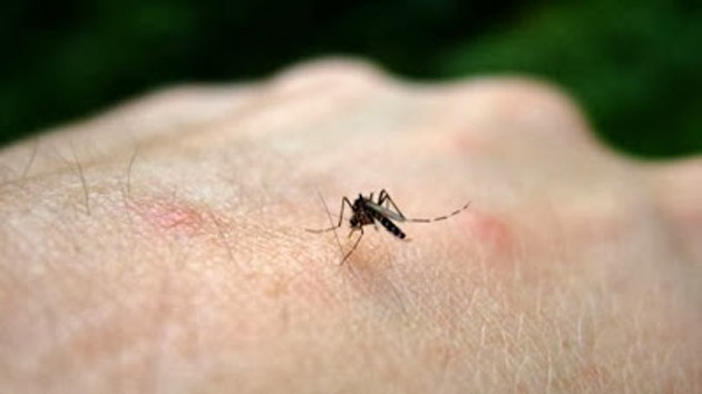 Casos de dengue crescem 190% no Brasil em um ano