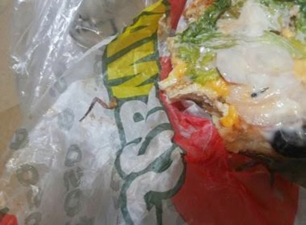 Itabuna: Cliente encontra perna de barata em sanduíche da Subway