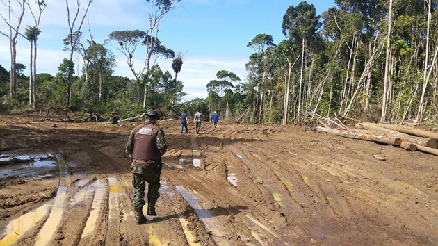 CIPPA realiza Operação de fiscalização de desmatamento em Itacaré