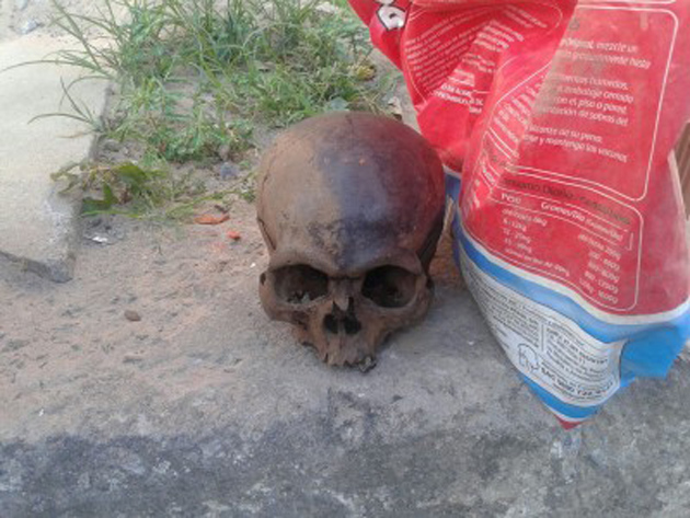 Ubatã: Crânio humano é encontrado no leito do Rio de Contas