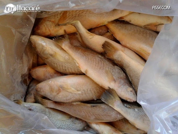 Itacaré terá distribuição de seis toneladas de peixe gratuito na Semana Santa