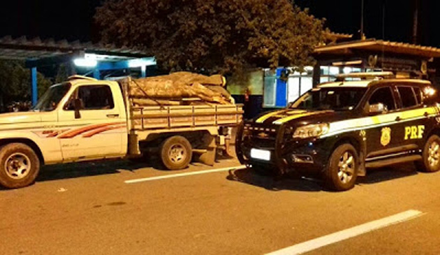 PRF apreende caminhão com madeira ilegal extraída em Itagi