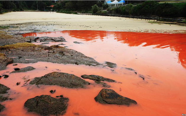 Mais de 300 pessoas passam mal com 'maré vermelha' em Porto Seguro e Cabrália
