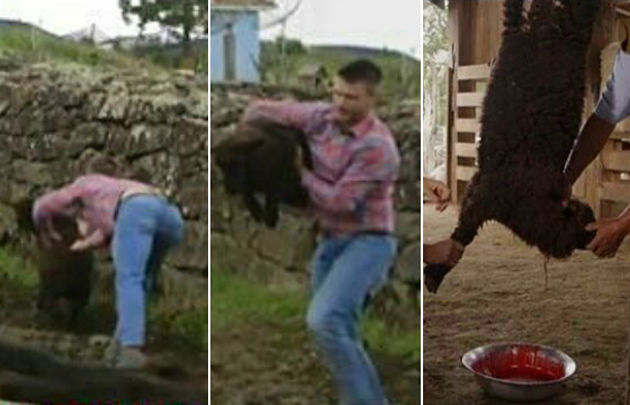 O apresentador Rodrigo Hilbert se pronunciou em seu perfil do Facebook após ser duramente criticado por conta de um episódio de seu programa 'Tempero de Família', do GNT, em que aparece matando um filhote de ovelha para o consumo.
