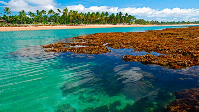 Guia Viagens elege praia de Taipus de Fora como a mais bonita do Brasil