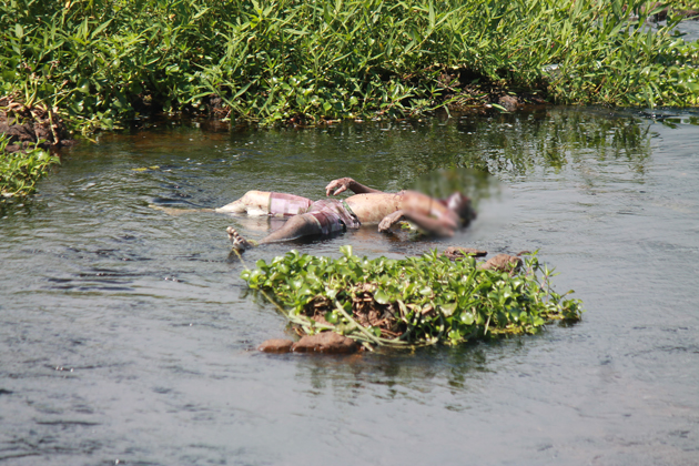 Corpo é encontrado boiando no Rio das Contas em Ubaitaba