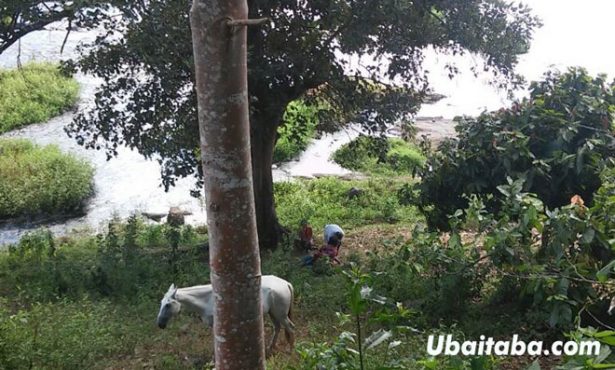 Ubaitaba: Adolescente morre afogado no Rio das Contas