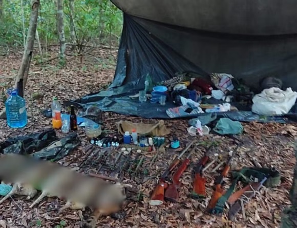 Caçador é preso no sul da Bahia com quase 20 kg de animais silvestres abatidos