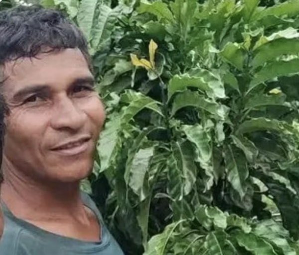 Indígena é assassinado dentro de aldeia, no extremo sul da Bahia