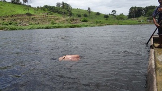 Itacaré: Corpo de um homem foi encontrado boiando no Rio de Contas