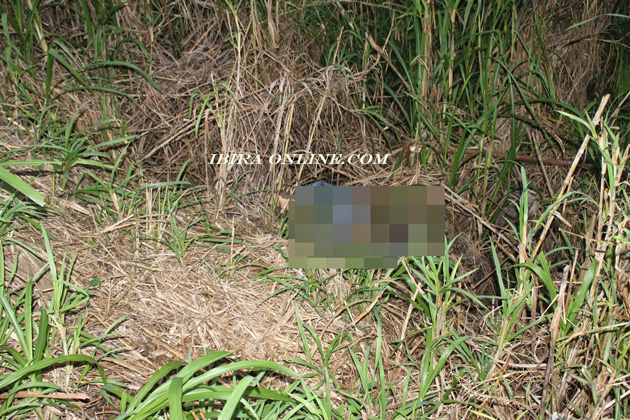 Ibirapitanga: Jovem desaparecida é encontrada morta em matagal