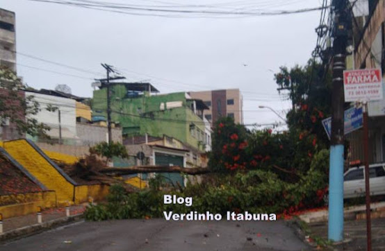 Governo da Bahia declara situação de emergência em Itabuna e outras oito cidades, por causa das chuvas